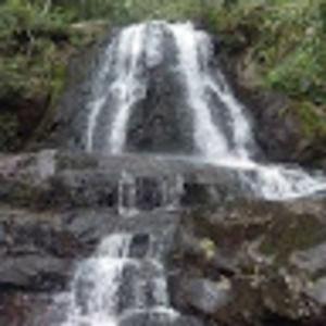 Meet your Posher, Nicholas